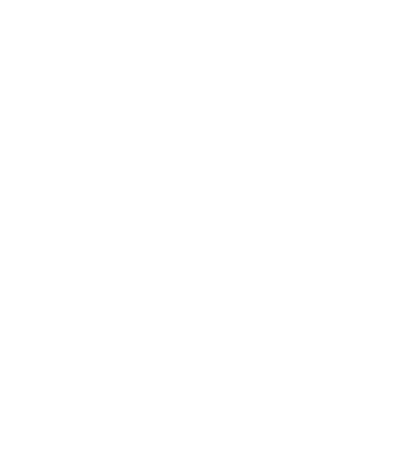Acewolf Company